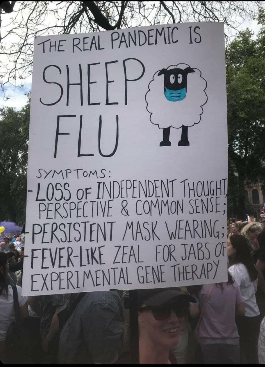 The Real Pandemic Is Sheep Flu